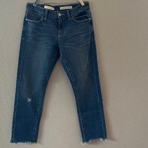 Pilcro Slim Boyfriend Jeans from Anthropologie